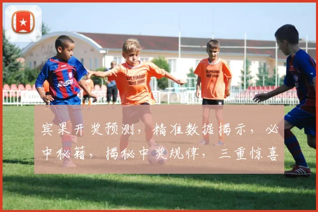 宾果开奖预测，精准数据揭示，必中秘籍，揭秘中奖规律，三重惊喜等你来
