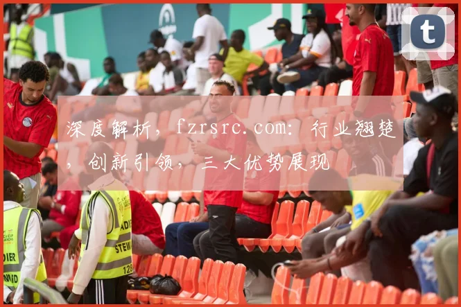 深度解析，fzrsrc.com：行业翘楚，创新引领，三大优势展现