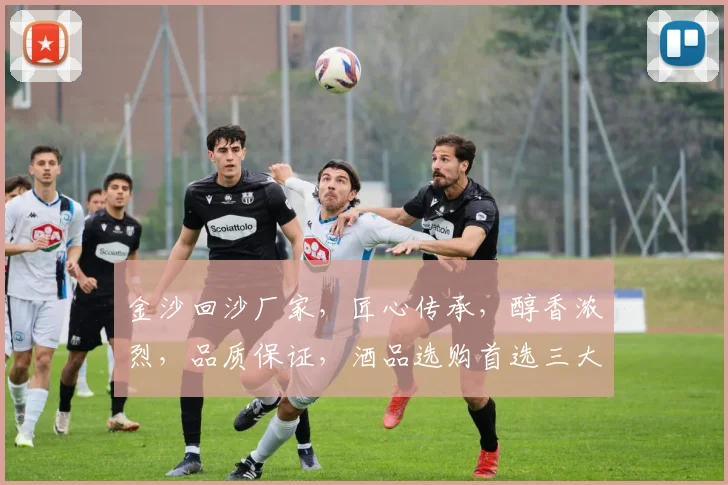 金沙回沙厂家，匠心传承，醇香浓烈，品质保证，酒品选购首选三大亮点，尽享美好人生